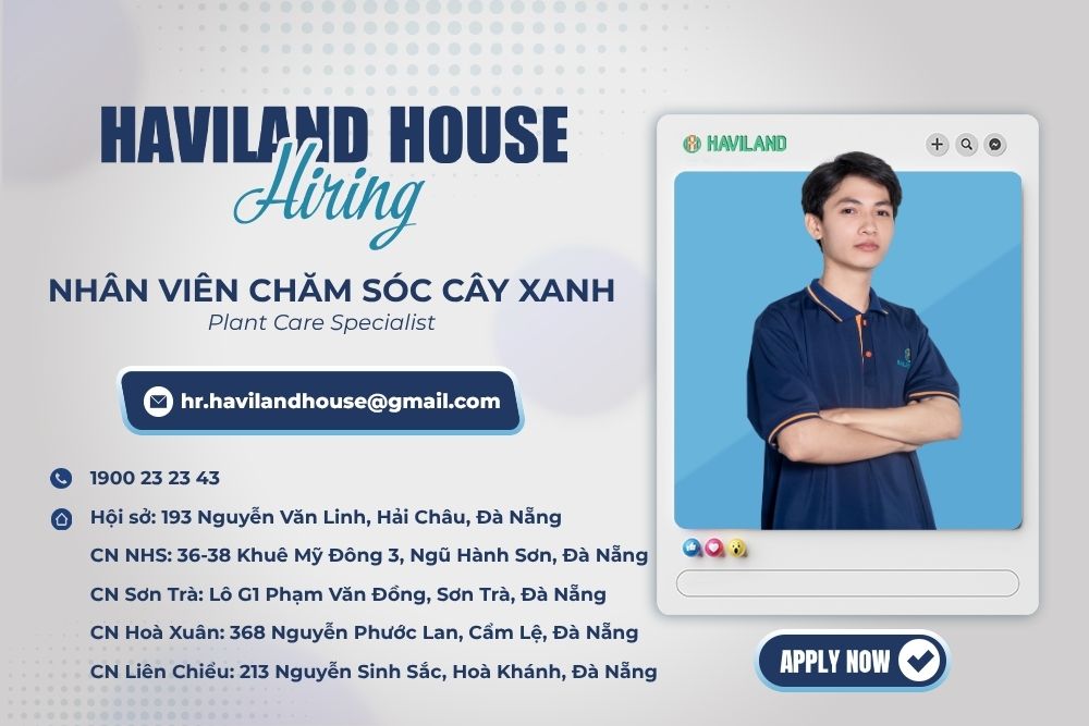 nhan-vien-cham-soc-cay-xanh-1790926706768.jpg