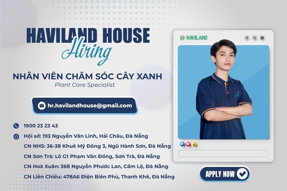 nhan-vien-cham-soc-cay-xanh-1792638637044.jpg