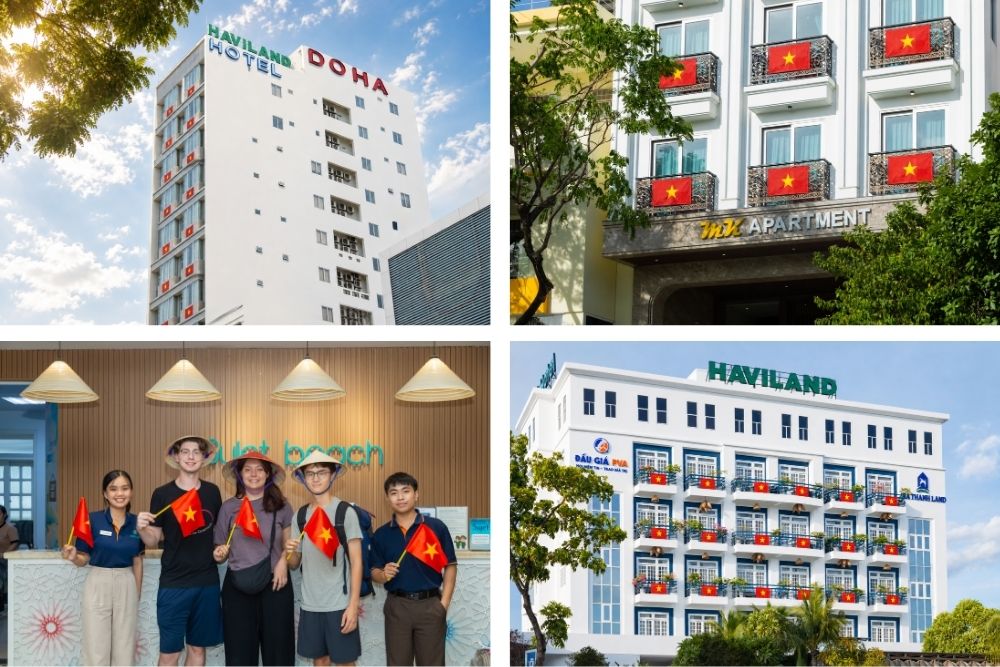haviland-sac-co-viet-nam.jpg