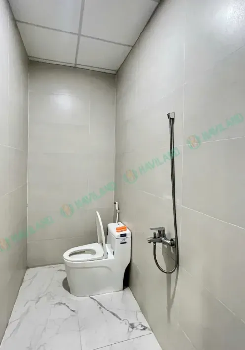 331-au-co-3_11zon.webp