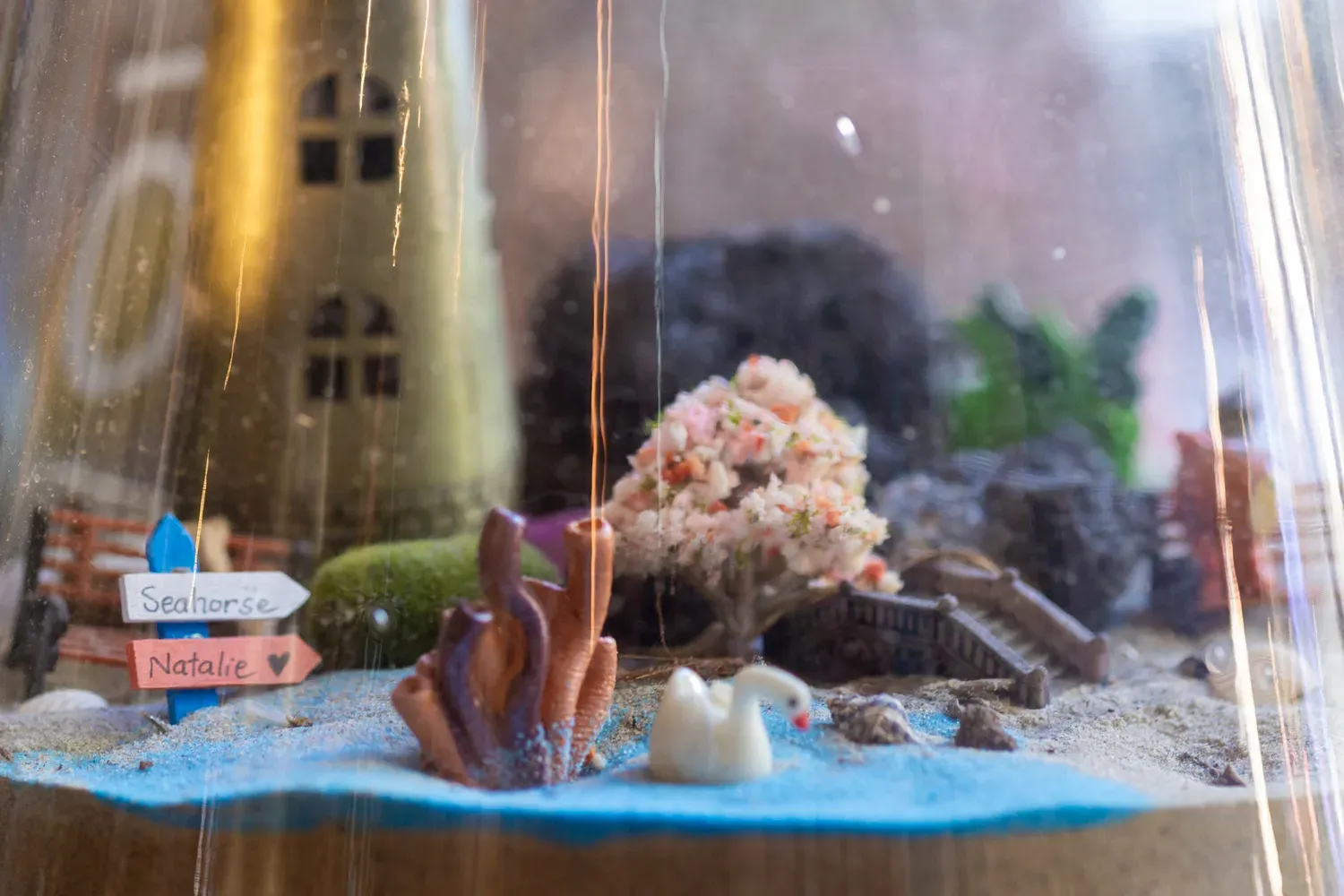 seahorse_tropical_he_1_11zon_f8a50bf1a9.webp