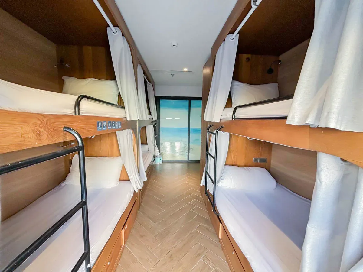 seahorse-tropical-ptt6giuong (1).webp