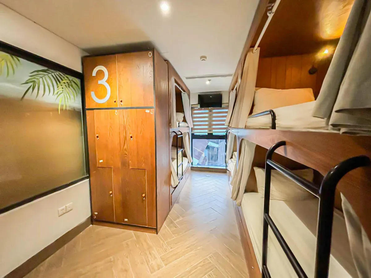 seahorse-tropical-ptt6giuong (2).webp