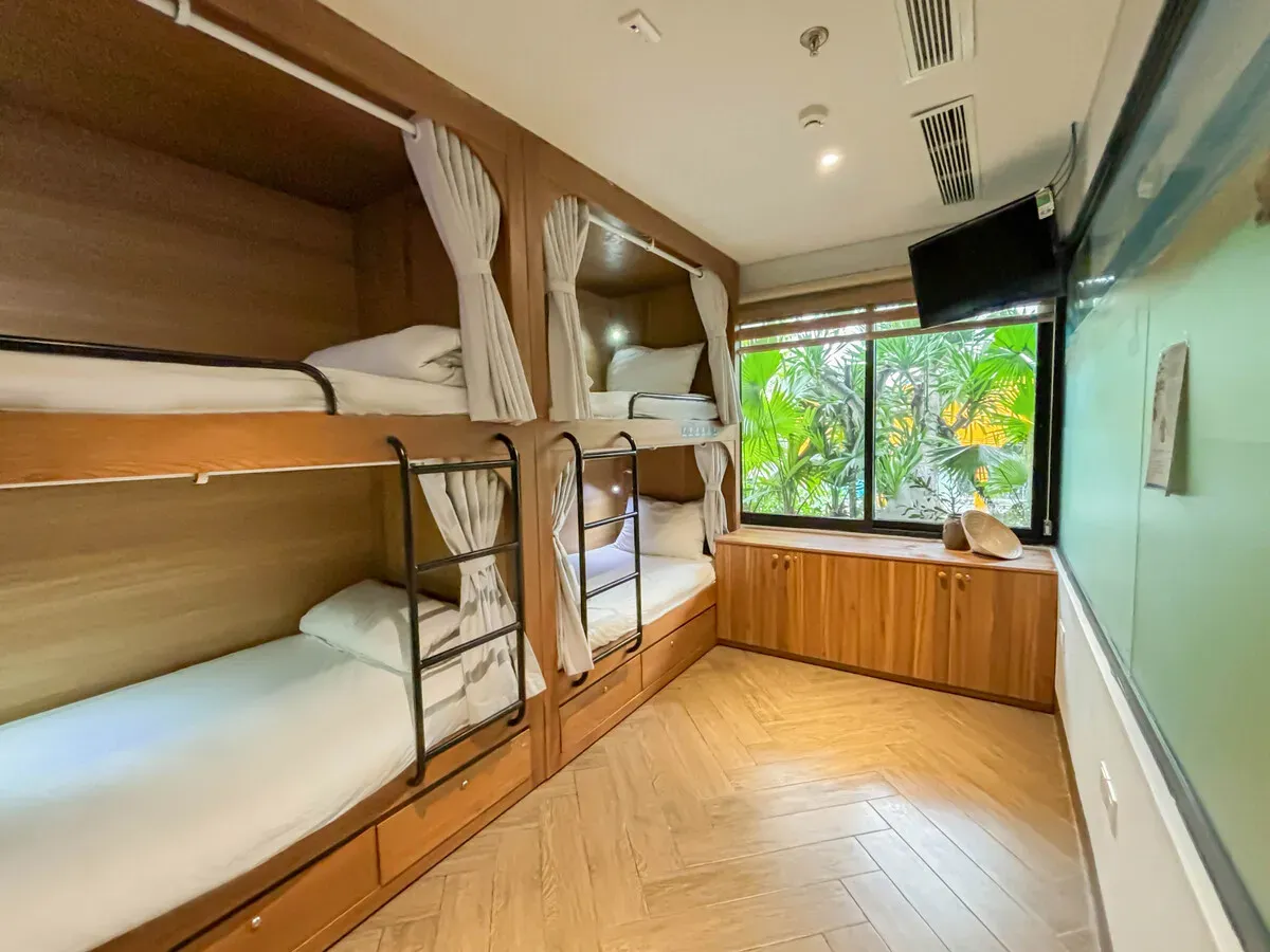 seahorse-tropical-tap-the-4-giuong (2).webp